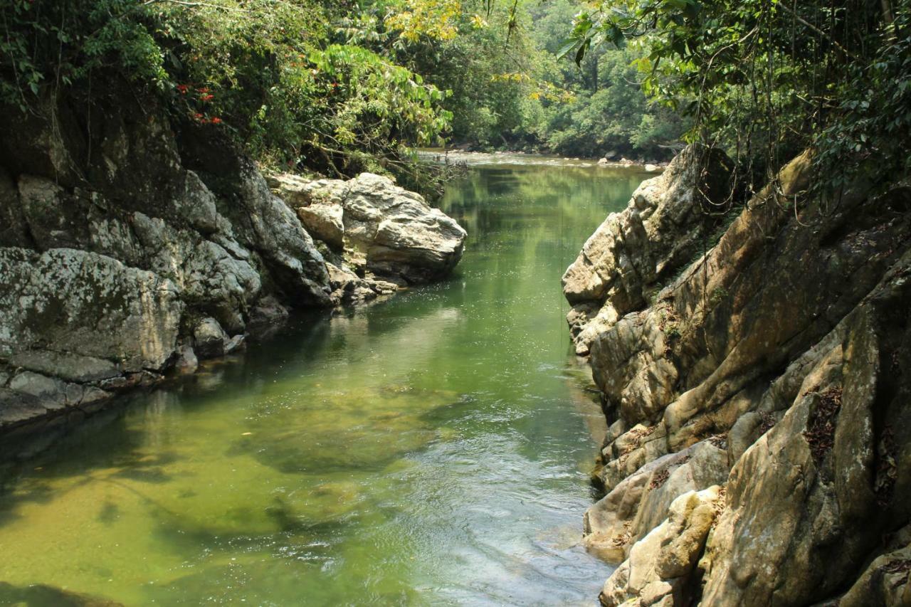 El Tigrillo Rio Claro By Los Colores Ecoparque Otel Doradal Dış mekan fotoğraf